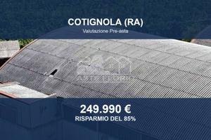 Immobile in asta di 8957 m² a Cotignola