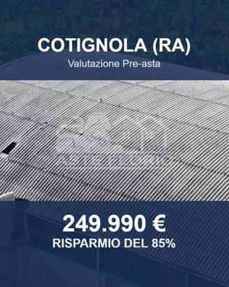 Immobile in asta di 8957 m² a Cotignola