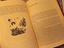 Immagine 6