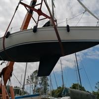 Elan 31