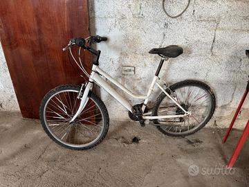 bicicletta  da passeggio