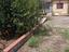Immagine 19