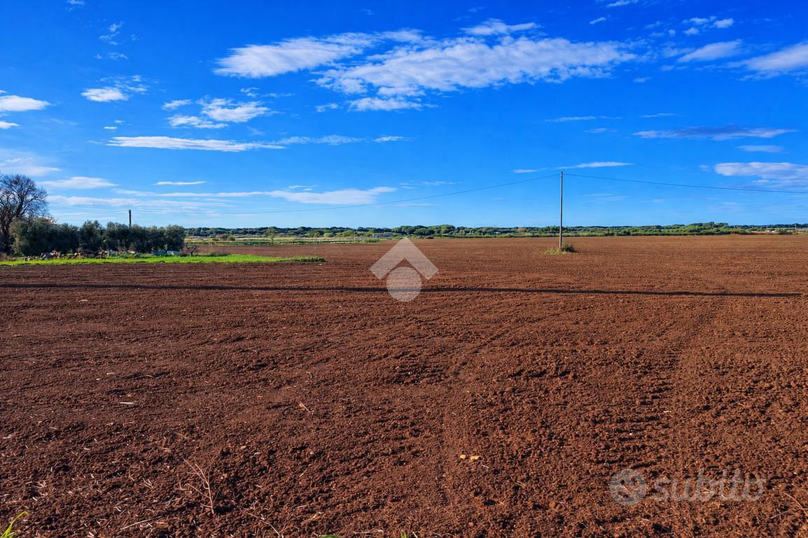 RUSTICO A MONTALTO DI CASTRO - Vista 5