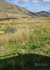 RGE 67/2025 Trib Marsala - LOTTO 2