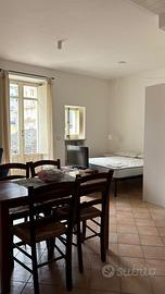 Monolocale arredato- 300/+spese