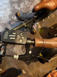 Bicicletta elettrica