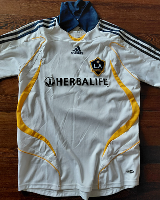 MAGLIA BECKHAM