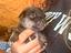 Immagine 4