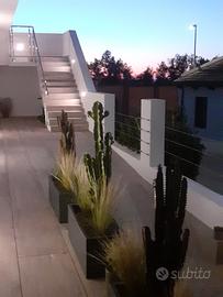 Casa indipendente con terrazza a 200 m dal mare