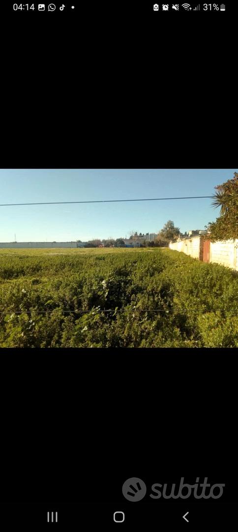 Terreno agricolo - Vista 2
