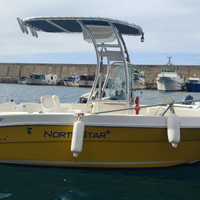 Open fish 19 cc North Star 140 cv