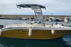 Open fish 19 cc North Star 140 cv