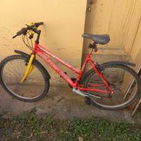 Mountain bike ragazzo