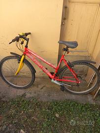 Mountain bike ragazzo