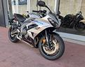 triumph-daytona-660