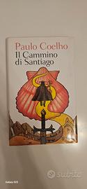 Paolo Coelho: Il cammino di Santiago