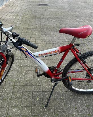 Bici Freestyle