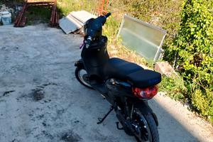 Vitale 250 watt 2025