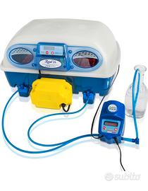 Borotto Real 24 con Sirio