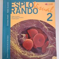 Libro Esplorando Visual2