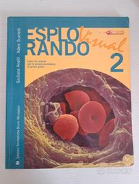 Libro Esplorando Visual2