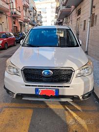 auto subaru manfredonia