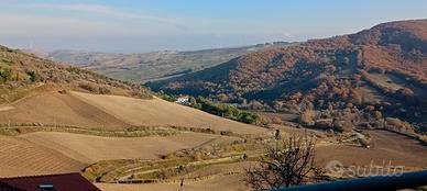 Villa immersa nella natura