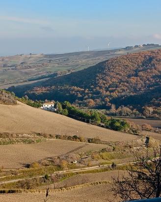 Villa immersa nella natura