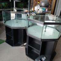 vasche per piante acquatiche