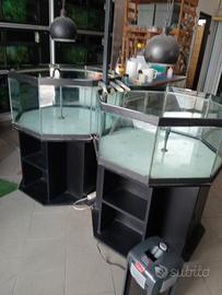 vasche per piante acquatiche