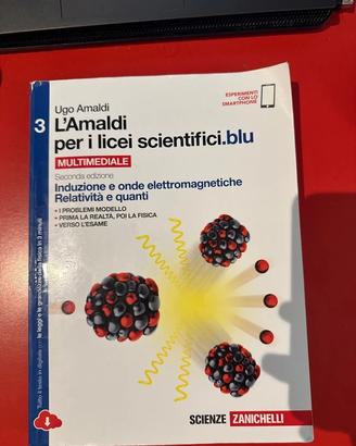 Amaldi per Licei Scientifici.blu 3