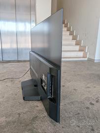 TV LG Oled 55" pannello danneggiato