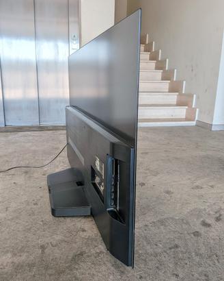 TV LG Oled 55" pannello danneggiato