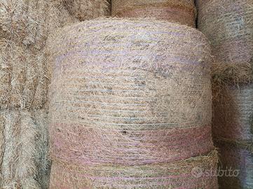 Erba medica in rotoballe