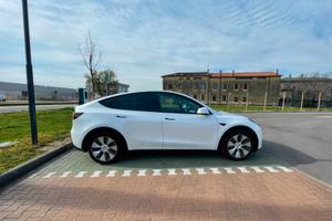 Tesla Model Y RWD