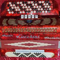 Fisarmonica cromatica LUCCHINI 96 bassi