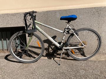 bicicletta mountain bike
