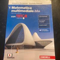 Libro Matematica multimediale blu 2° edizione