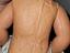 Immagine 6