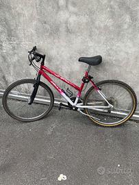 🚲bicicletta