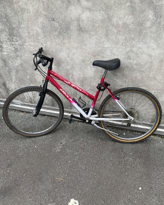 🚲bicicletta