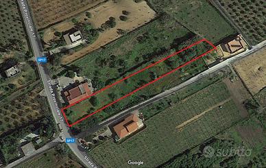 Terreno Balestrate/Partinico S.P. 17