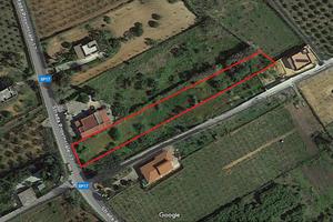 Terreno Balestrate/Partinico S.P. 17