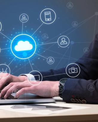 IT Manager per PMI