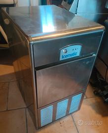 Produttore ghiaccio Icematic