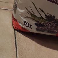 lettiera x gatti profumata di lavanda