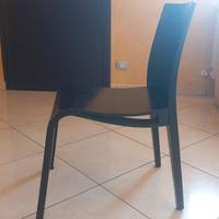 Sedie legno wenge