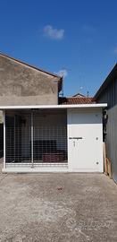 Box per cani 