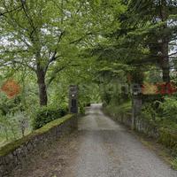 Villa o villino Capolona [VL93VRG]