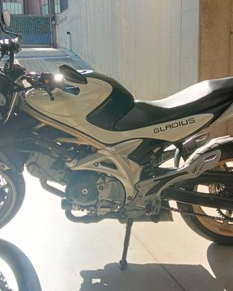 Suzuki SFV Gladius 650 depotenziata A2